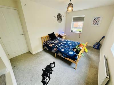 Picture 13